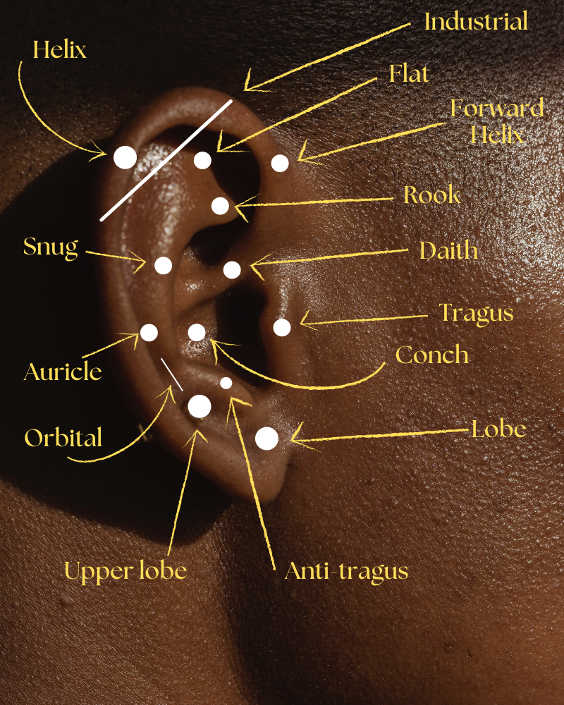 14 Types Of Ear Piercings Which Ones You Should Get In 2023