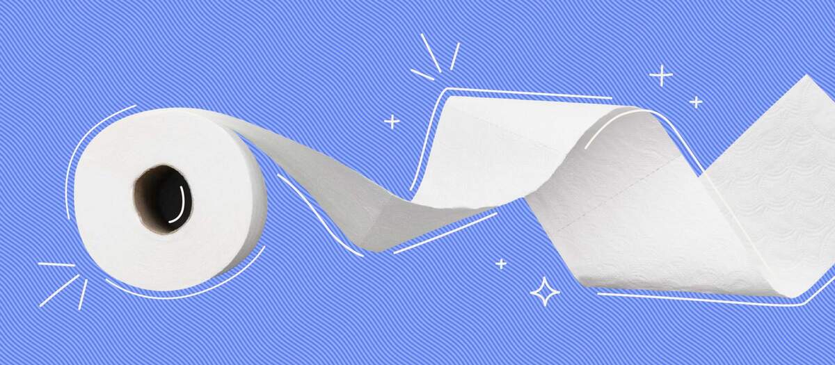 3 Different Ways To Unclog A Toilet 2025 Bungalow
