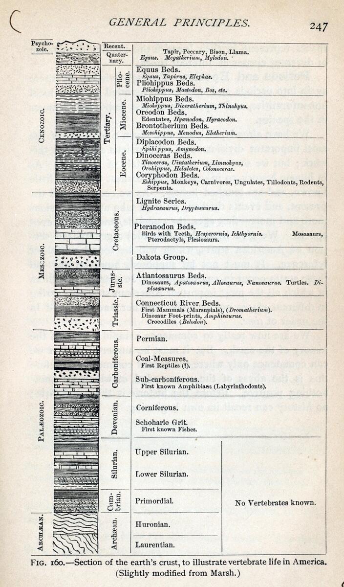 3 Geological Time Scale Digital Atlas Of Ancient Life Geologic Time Scale Word Search WordMint