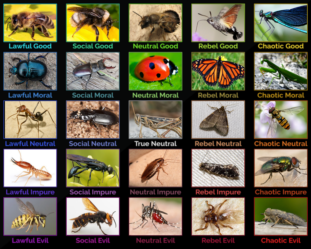 5x5 Insect Alignment Chart R AlignmentCharts