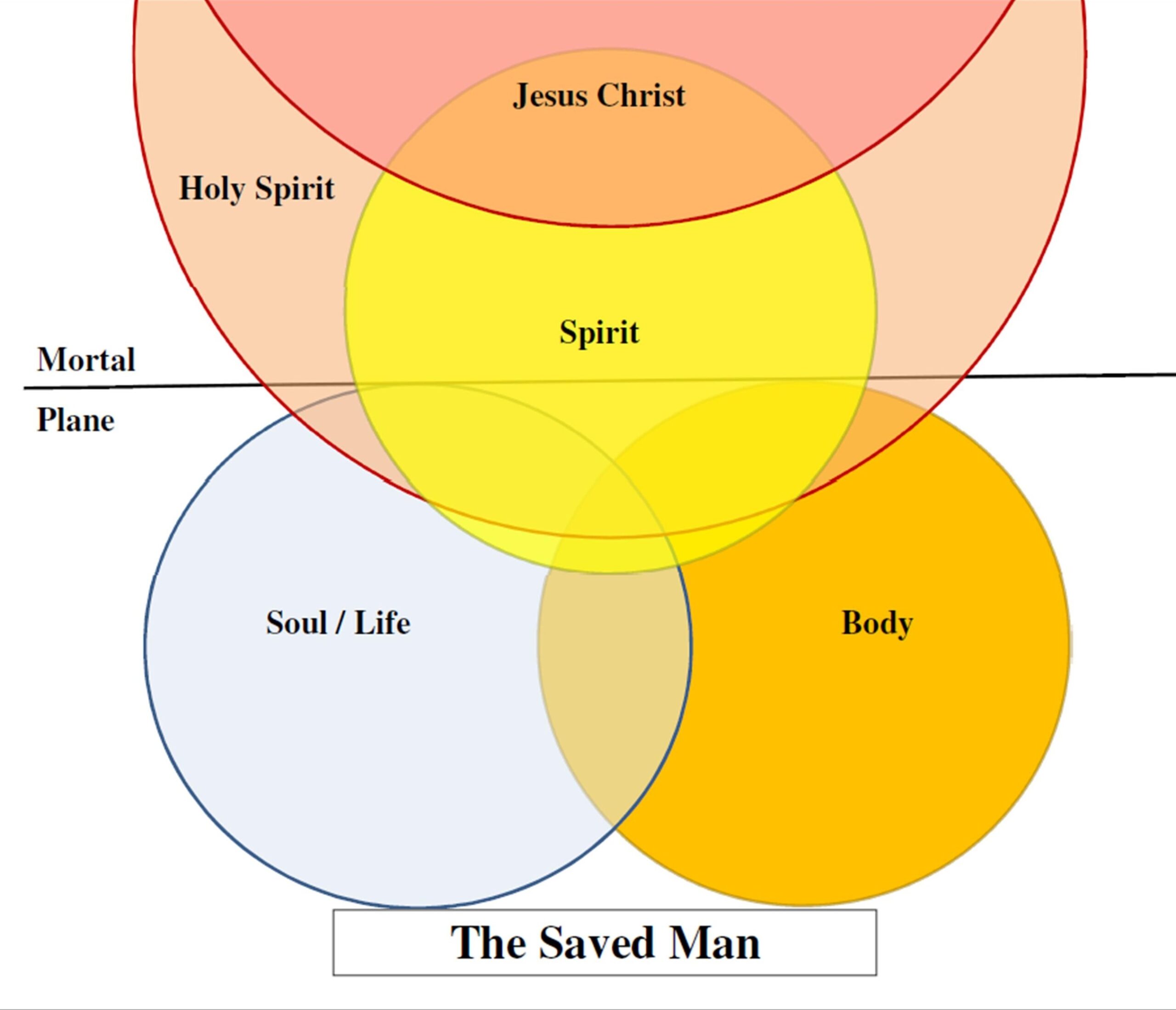 A Confidence To Hold The Collected Works Of Watchman Nee CWWN Living Stream Ministry
