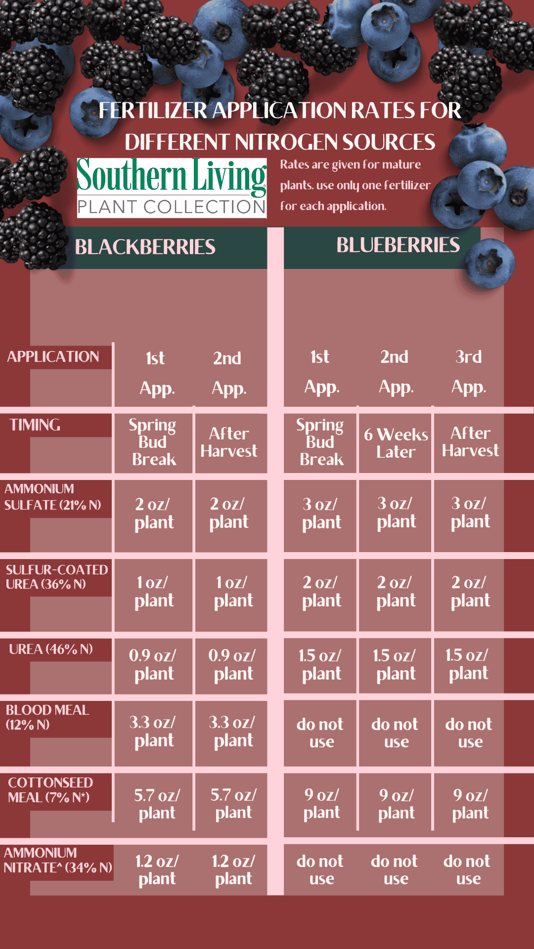 A Tasty Task Fertilizing Blueberries And Blackberries A Tasty Task Fertilizing Blueberries And Blackberries