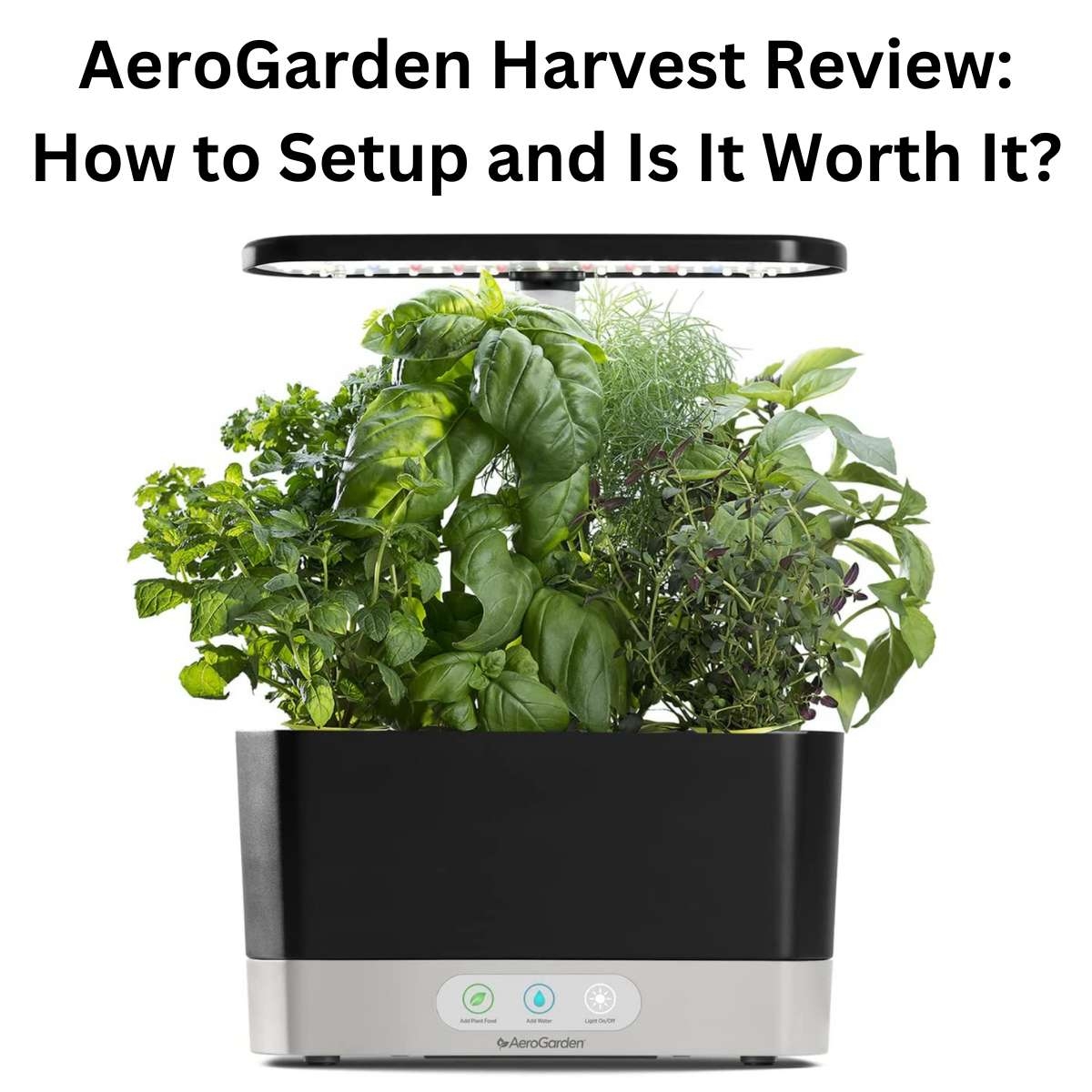 AeroGarden Harvest Review How To Setup And Is It Worth It