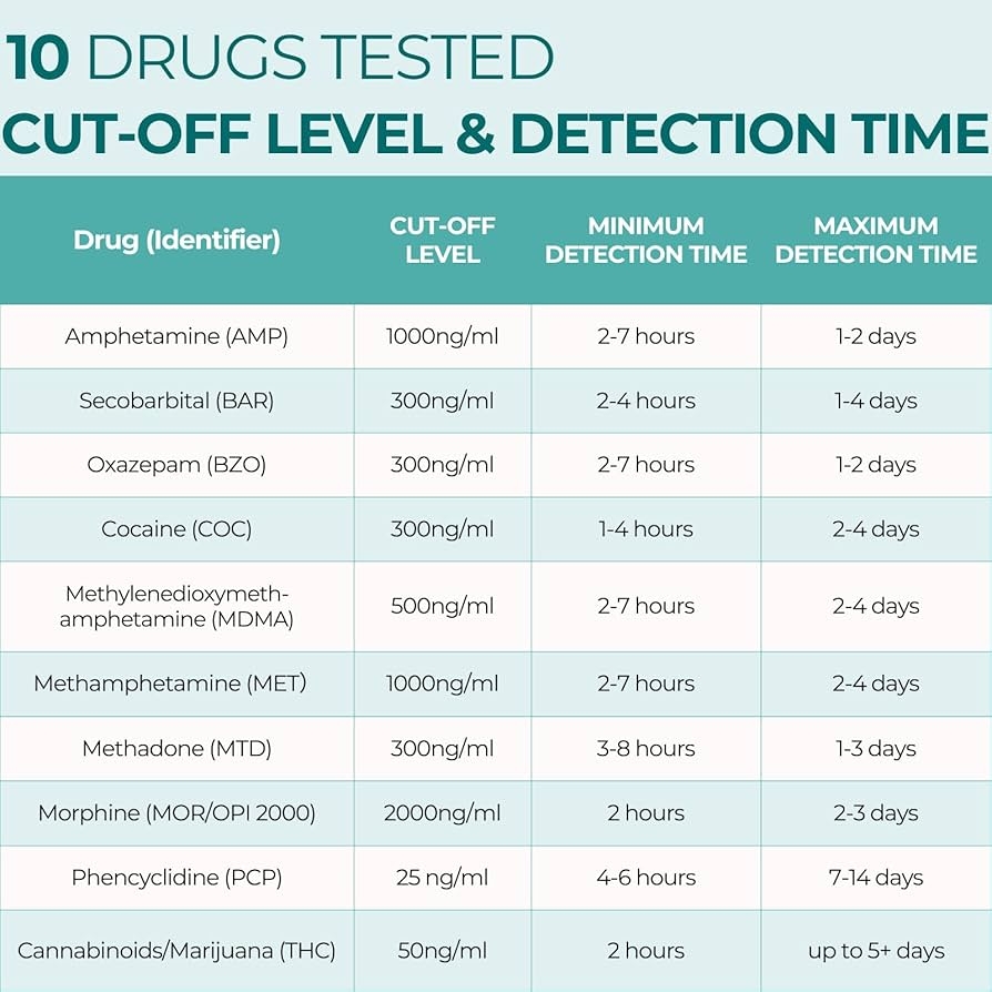 How Long Does THC Stay In Your System Dutch Passion