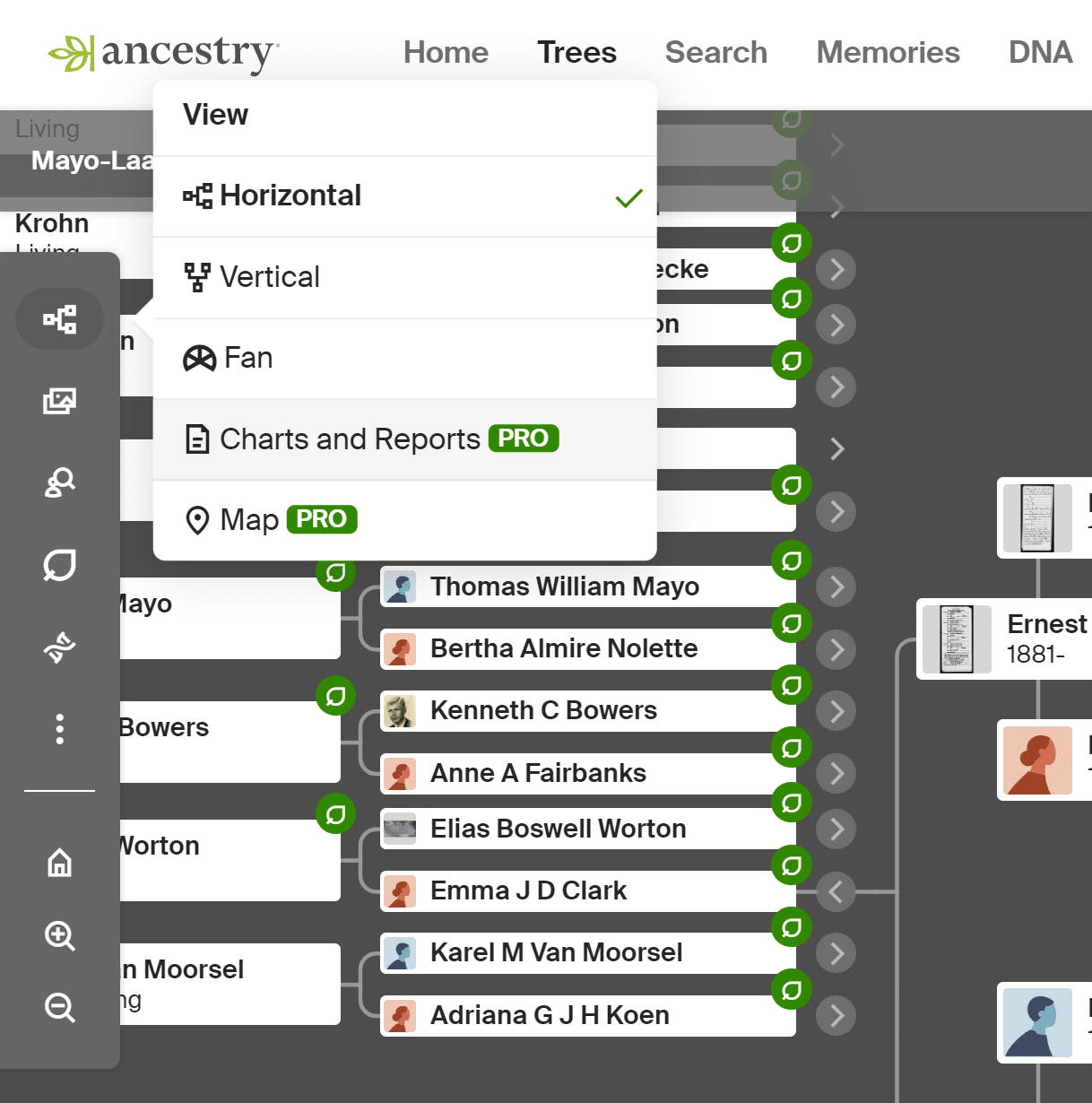 Are Ancestry Pro Tools Worth The Price