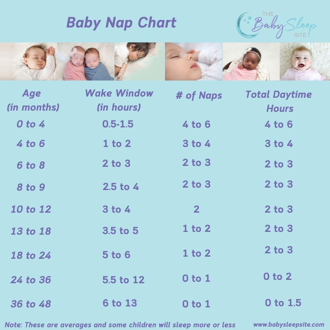 Baby Nap Chart How Many Naps And How Long By Age The Baby Sleep Site Baby Nap Chart How Many Naps And How Long By Age The Baby Sleep Site