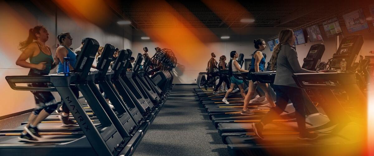 Best Fitness Springfield 413 271 7653 Springfield MA