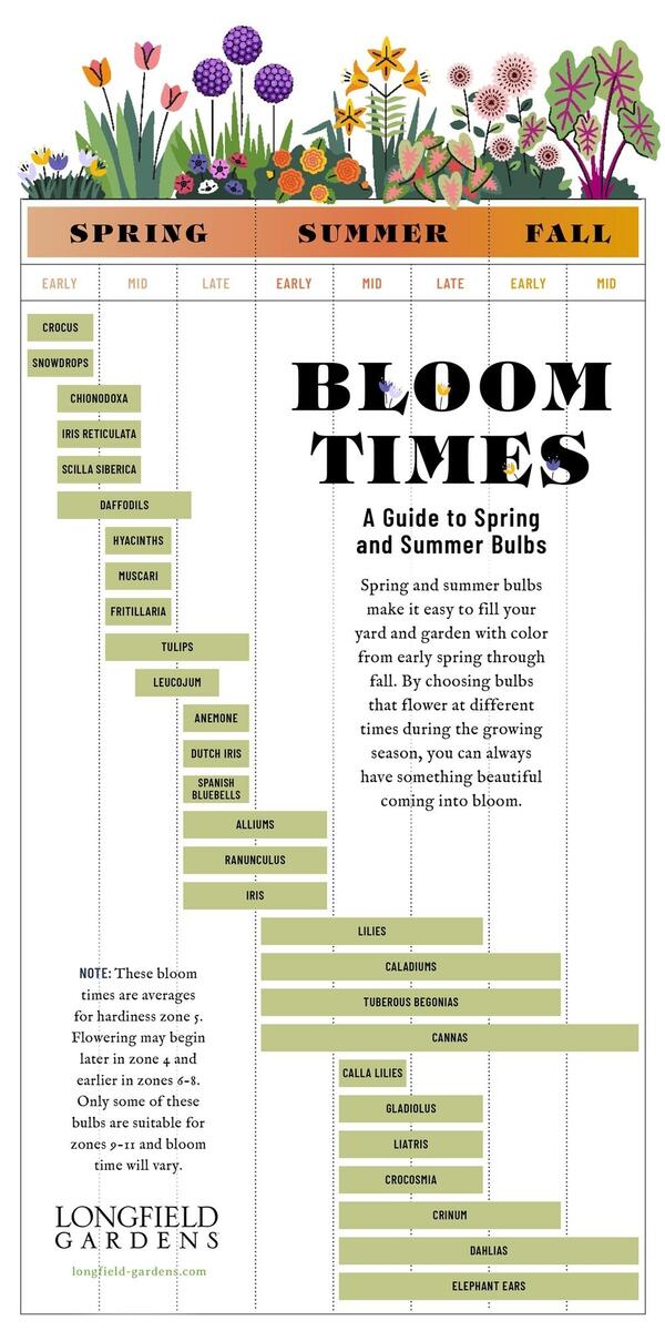 BLOOM TIME PLANNING GUIDE FOR SPRING SUMMER BULBS