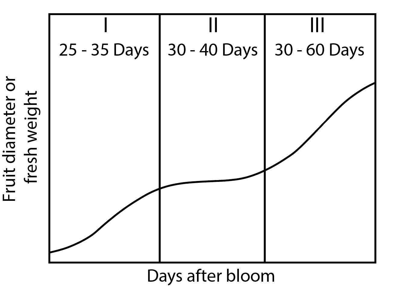 Blueberry Fruit Set Development And Ripening CAES Field Report A Tasty Task Fertilizing Blueberries And Blackberries