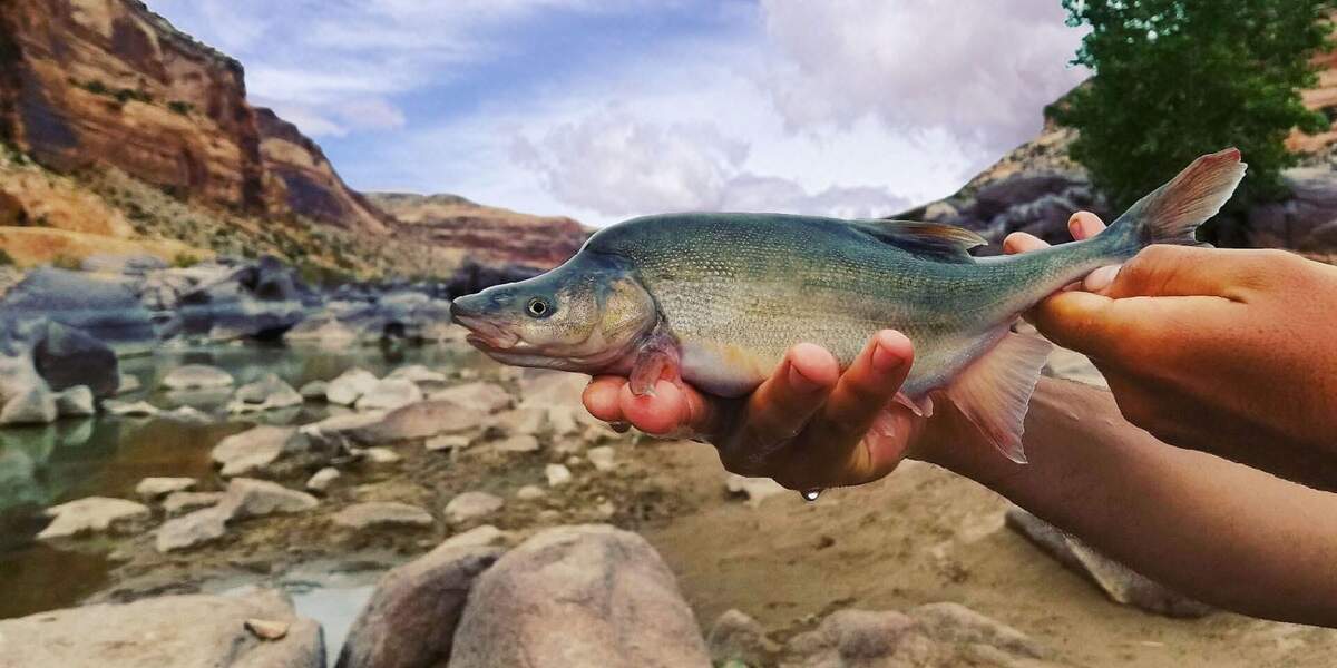 Fishing Report 11 Mile Marina