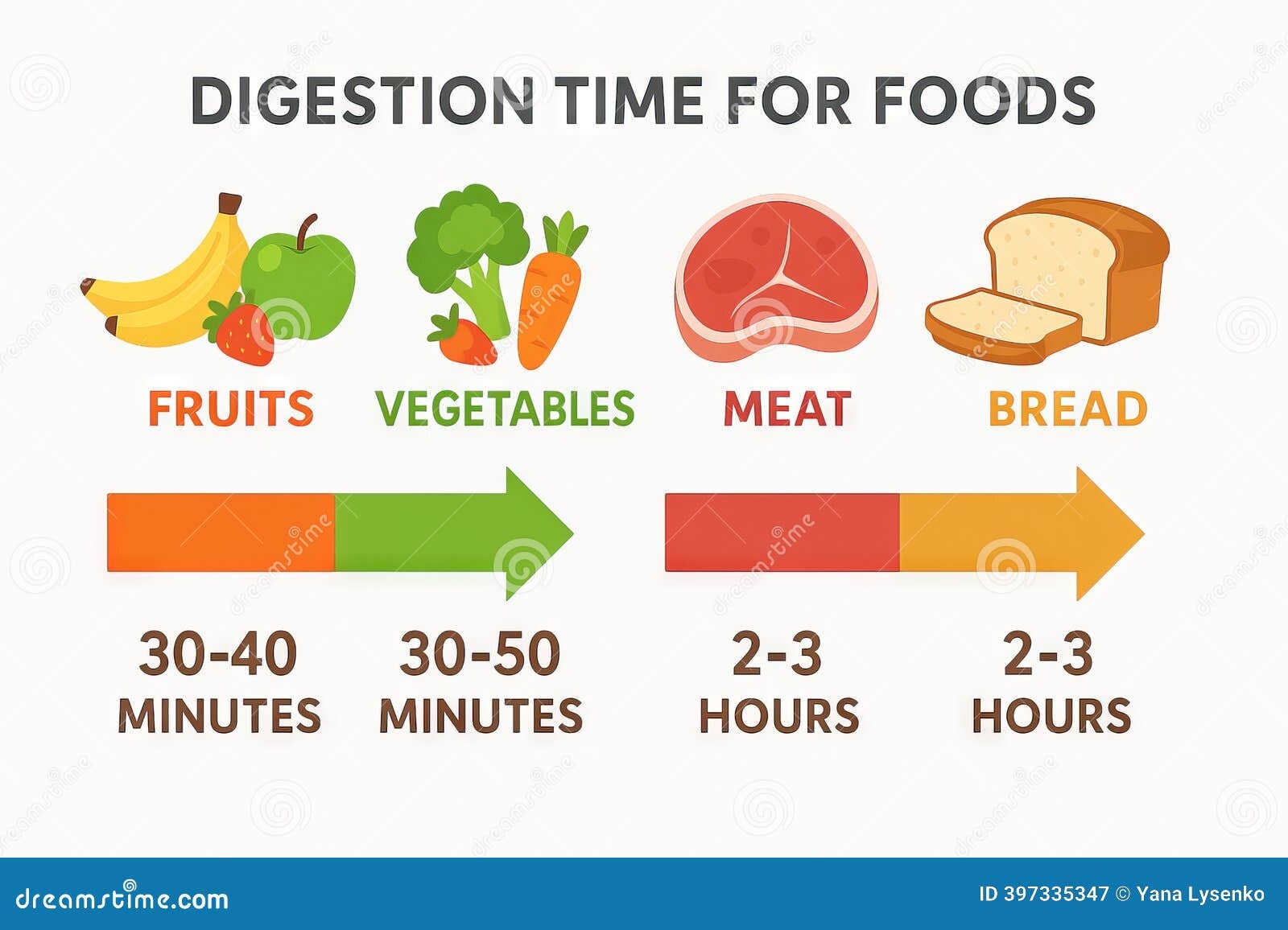 Colorful Diagram Illustrating Digestion Times For Various Foods Including Fruits Vegetables Meat And Bread Concept Of Stock Image Image Of Apple Vegetables 397335347