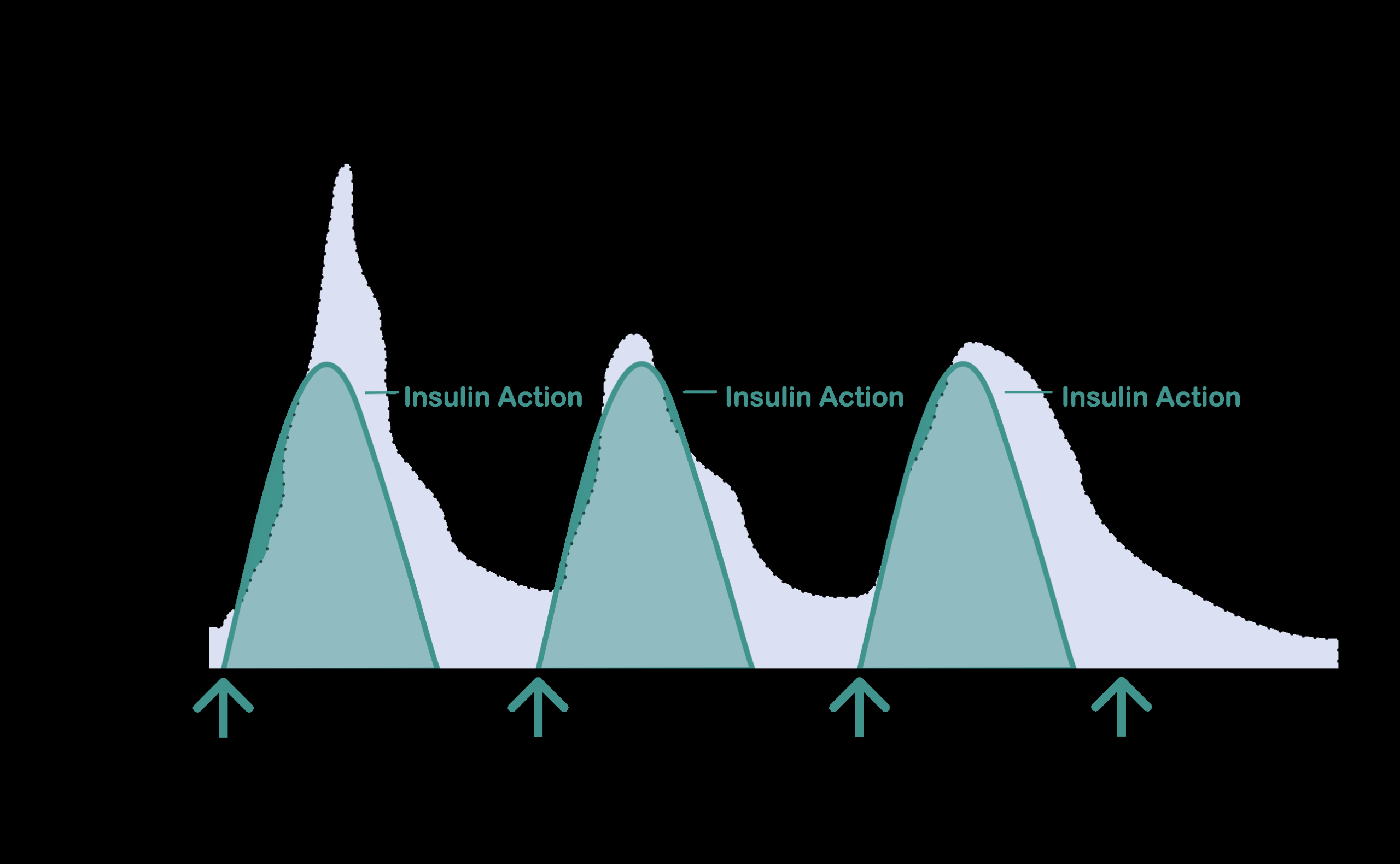 Diabetes Educational Tool Diabetes Educational Tool