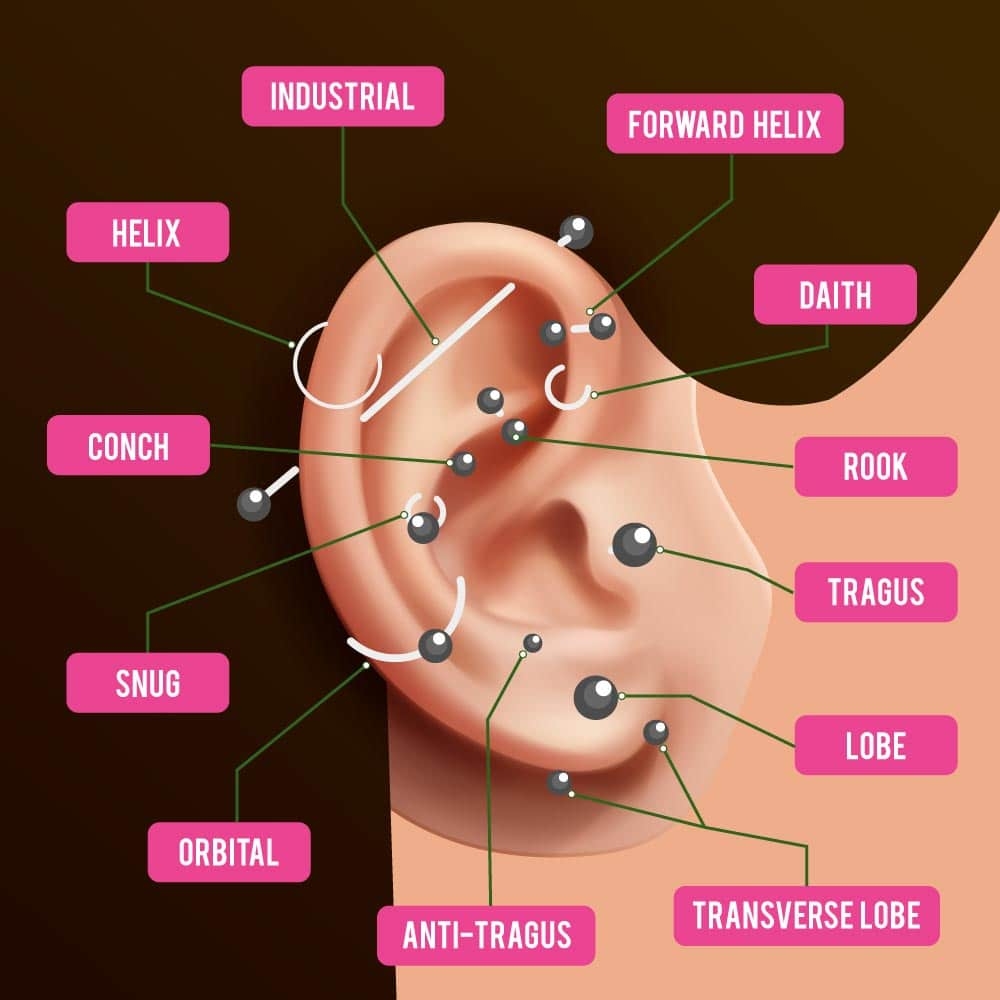 Ear Piercing Chart 27 Different Types To Inspire Your Next Look