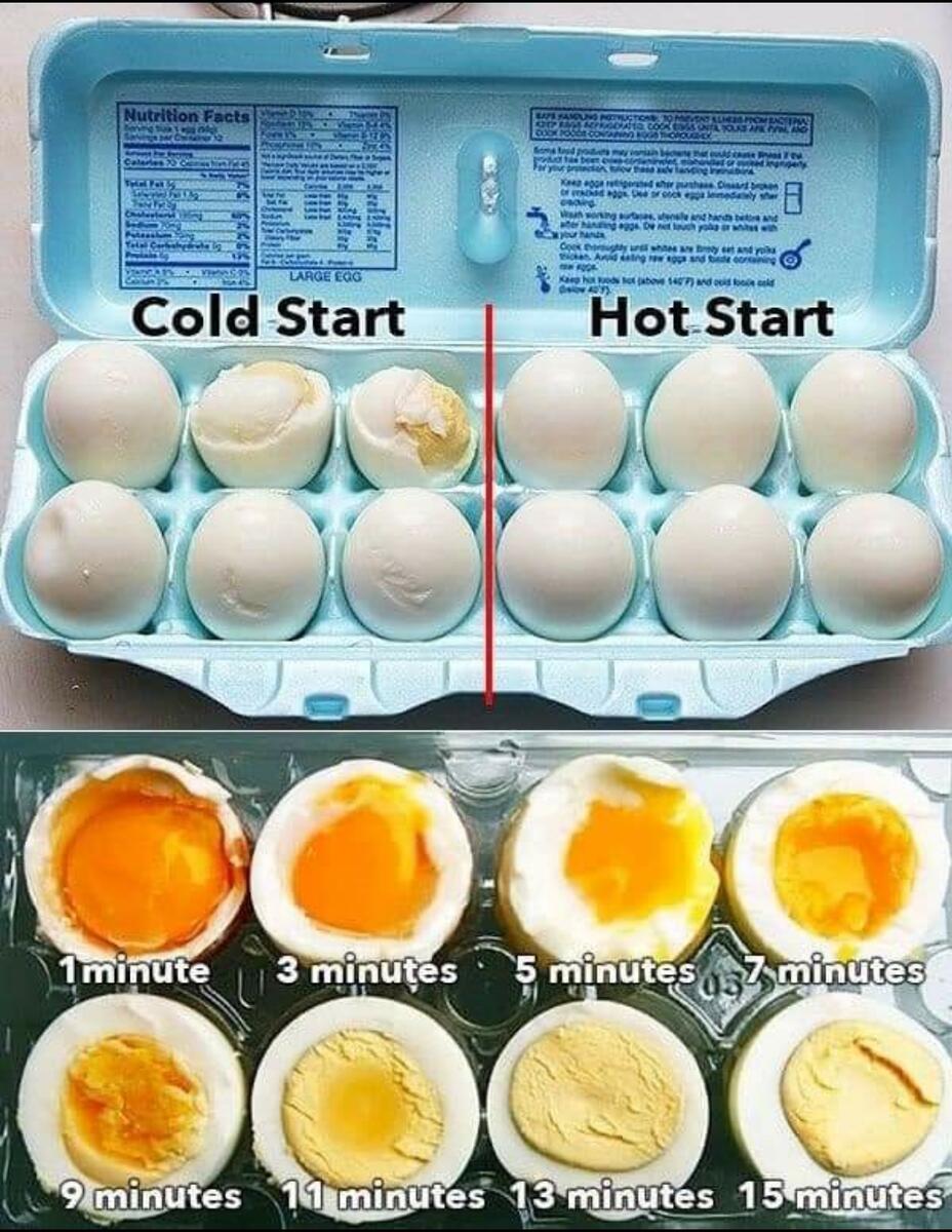 Eggcellent Guide R Coolguides