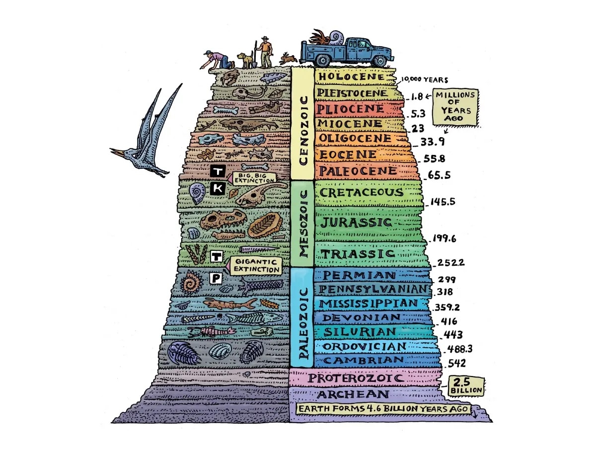 Facts About The Geological Time Scale Geology In
