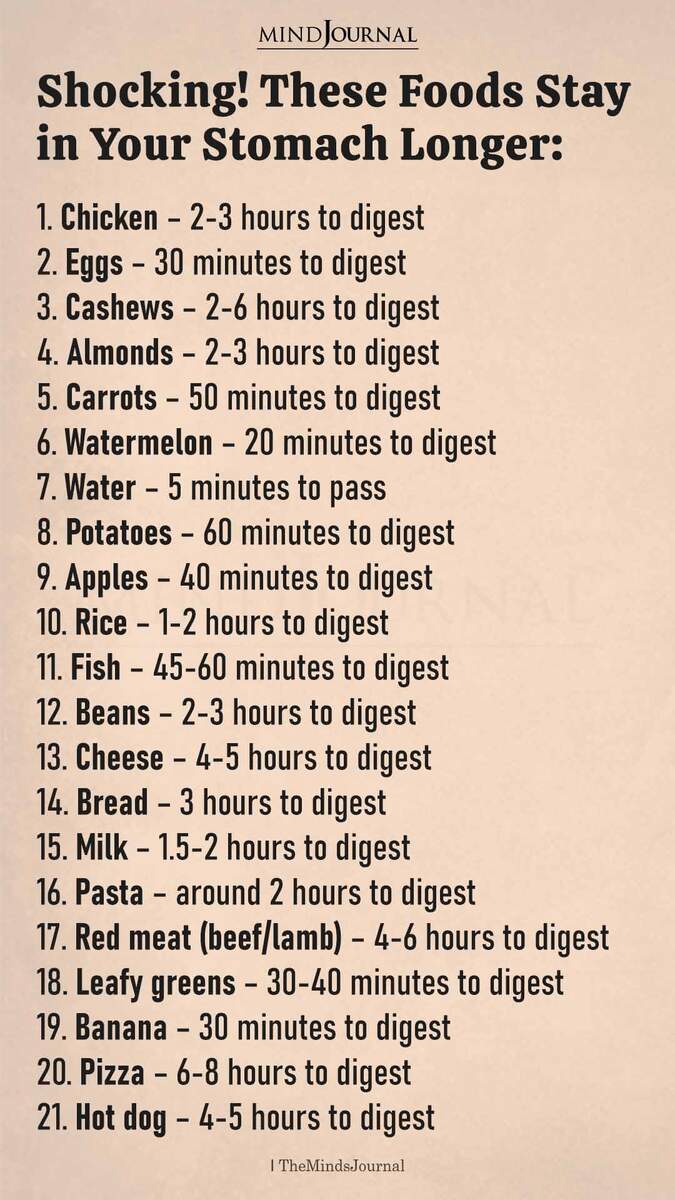 Foods That Take Longest To Digest What Really Stays In Your Stomach