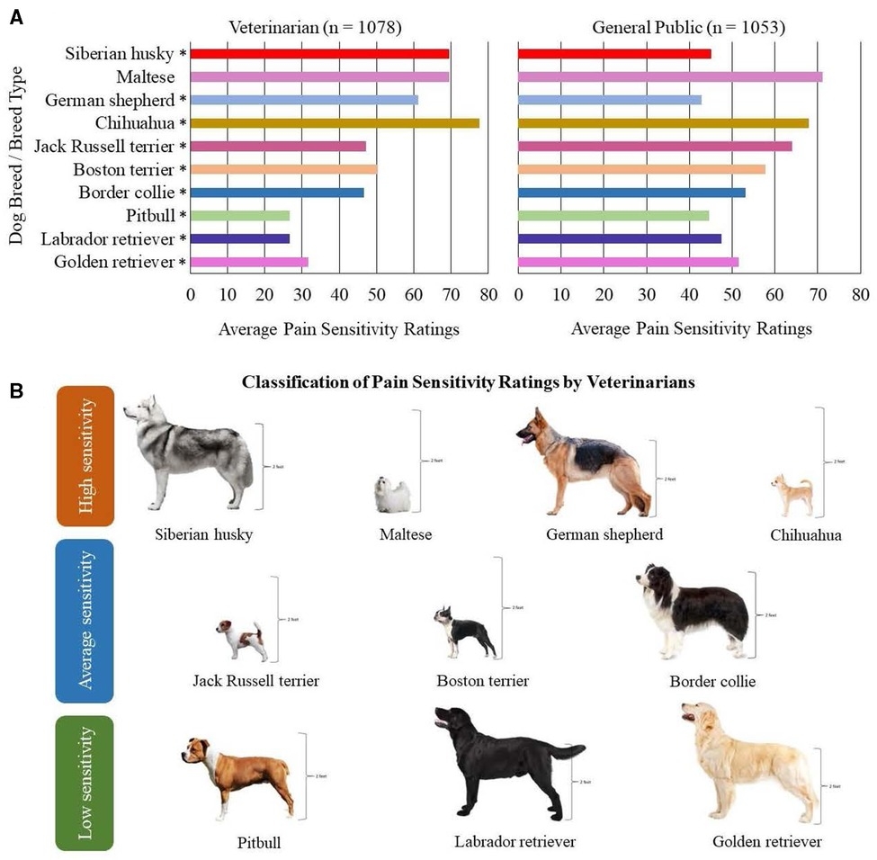 Frontiers Pain Sensitivity Differs Between Dog Breeds But Not In The Way Veterinarians Believe Clinical Applicability Of The Feline Grimace Scale Real Time Versus Image Scoring And The Influence Of Sedation And Surgery PeerJ