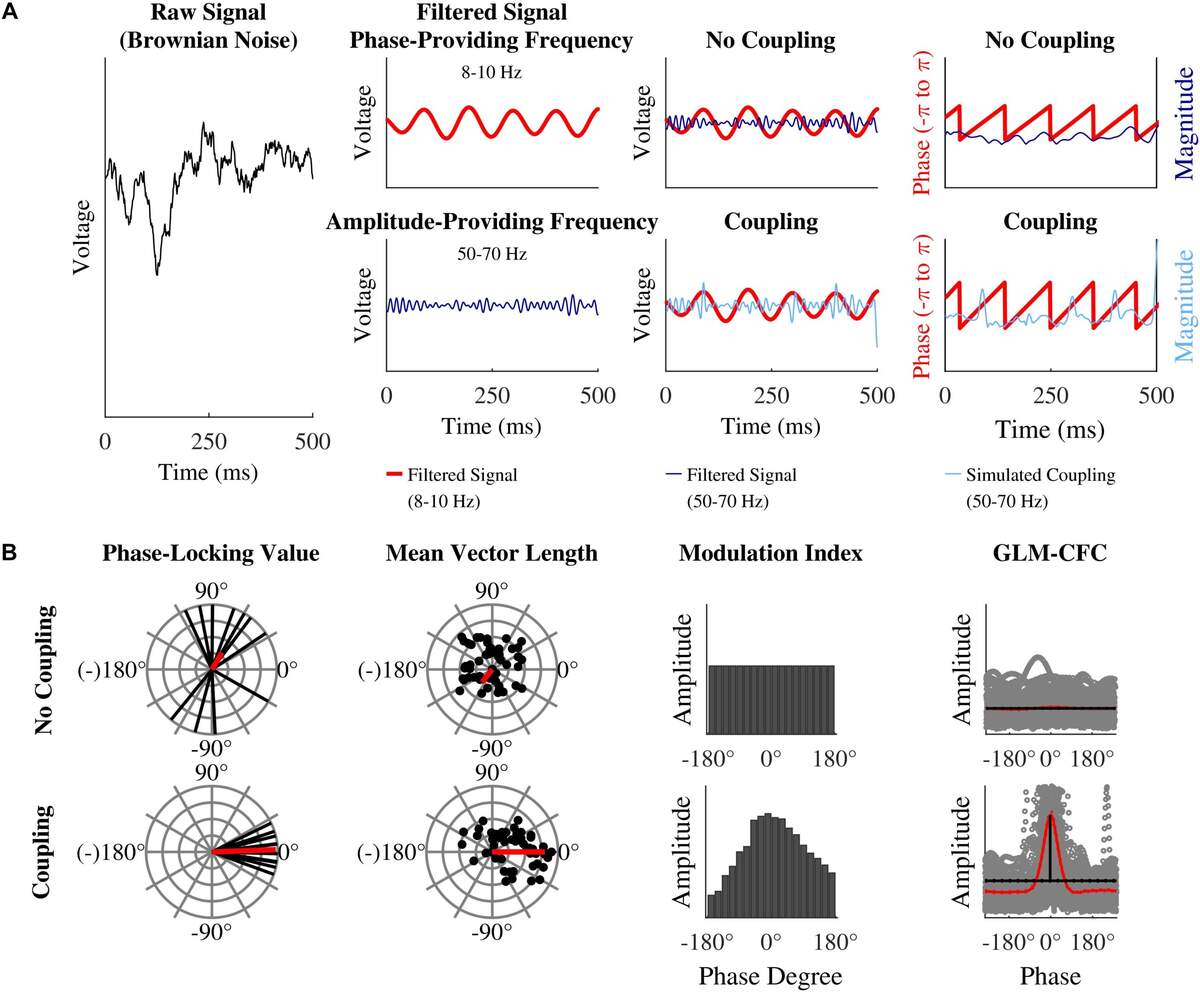 Frontiers Quantification Of Phase Amplitude Coupling In Neuronal Oscillations Comparison Of Phase Locking Value Mean Vector Length Modulation Index And Generalized Linear Modeling Cross Frequency Coupling
