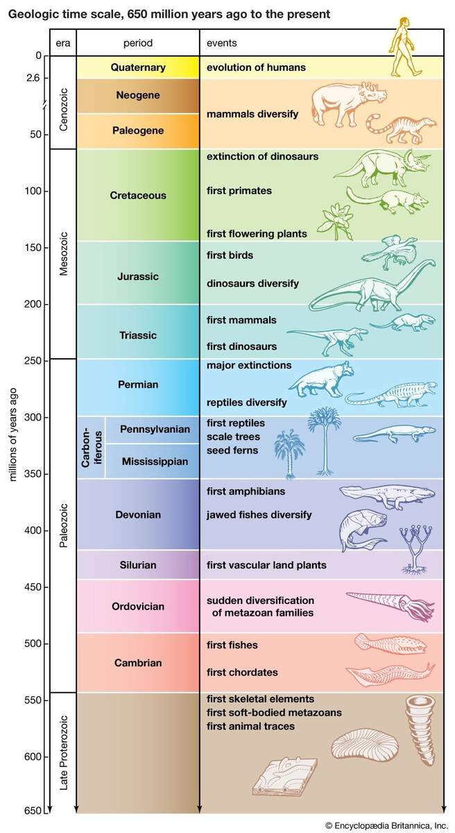 Geologic Time Periods Time Scale Facts Britannica Geologic Time Periods Time Scale Facts Britannica