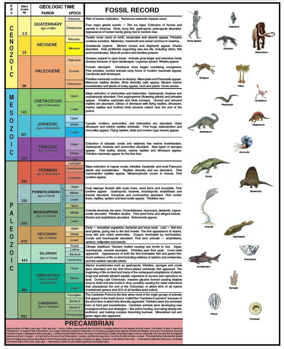 Geologic Time Scale 8TH GRADE SCIENCE Geologic Time Scale Earth Home