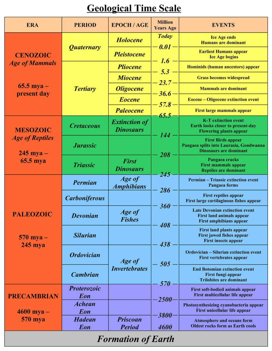 Geologic Time Scale 8TH GRADE SCIENCE Geologic Time Scale 8TH GRADE SCIENCE