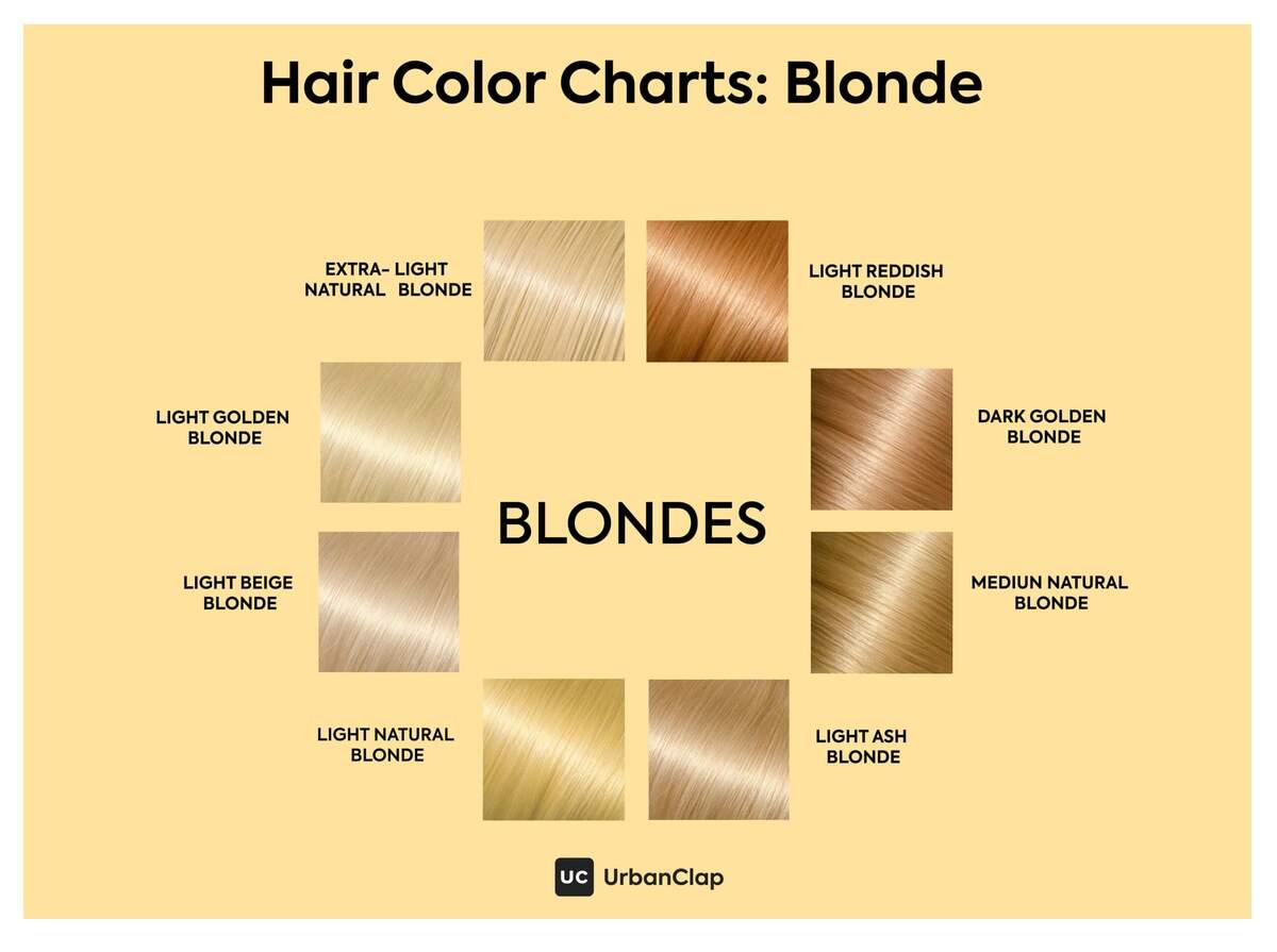 What Are Hair Levels A Guide To Your Hair Depth And Tone StyleSeat Pro Beauty Blog