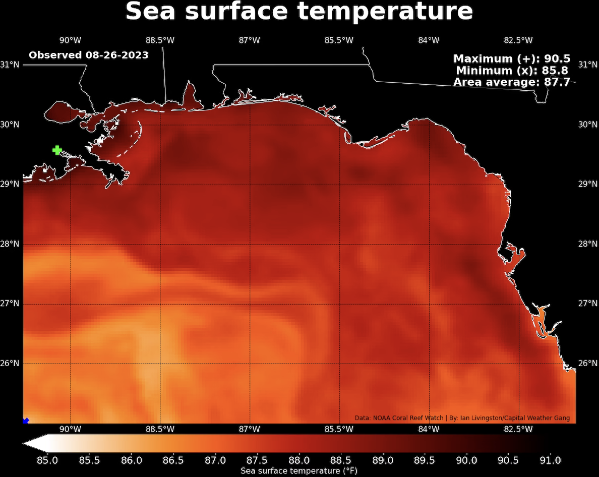 Gulf Coast Temperatures Surge To Highest Levels Ever Observed Edward Conard Gulf Coast Temperatures Surge To Highest Levels Ever Observed Edward Conard