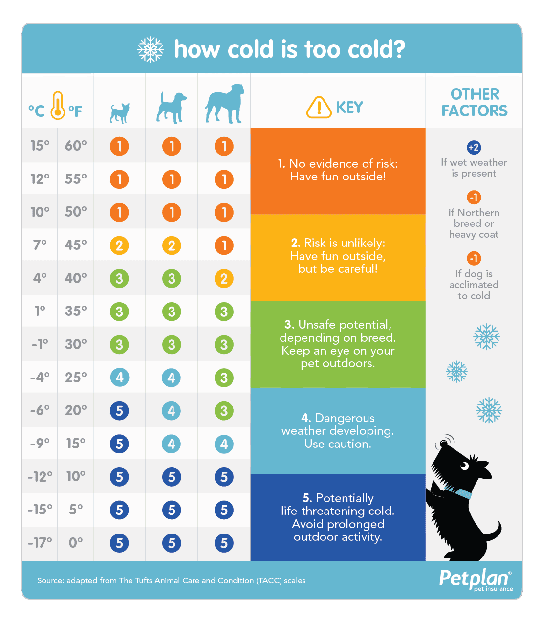 How Cold Is Too Cold For Your Dog Calgary Dog Health How Cold Is Too Cold For Your Dog Calgary Dog Health