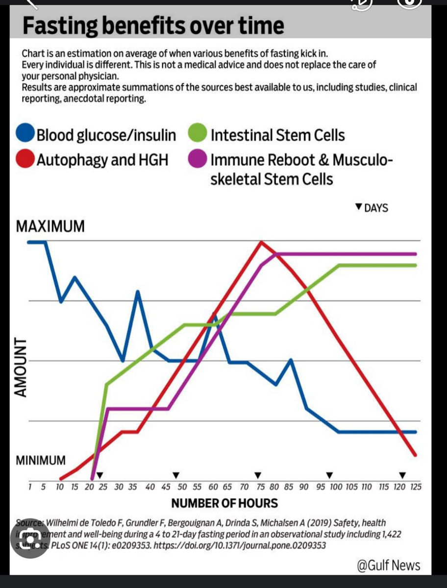 How Does Autophagy Look In Longer Fasts R Fasting How Does Autophagy Look In Longer Fasts R Fasting