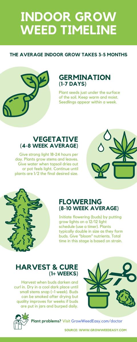 How Long Does It Take To Grow Weed Indoors 2 To 4 Months Grow Weed Easy Spray Early Economics Of Early Weed Control Canola Council Of Canada