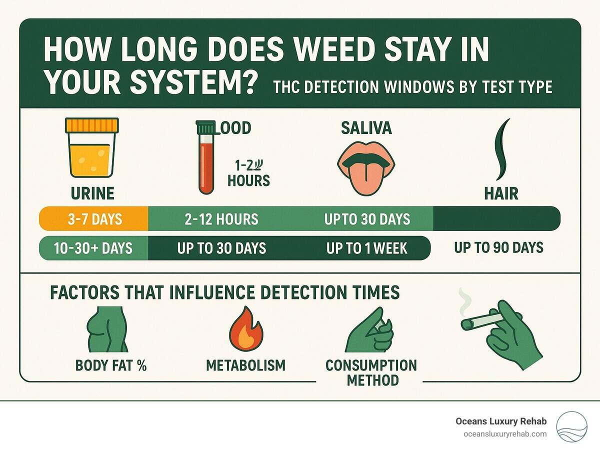 How Long Does Weed Stay In The System After Quitting How Long Does Weed Stay In The System After Quitting