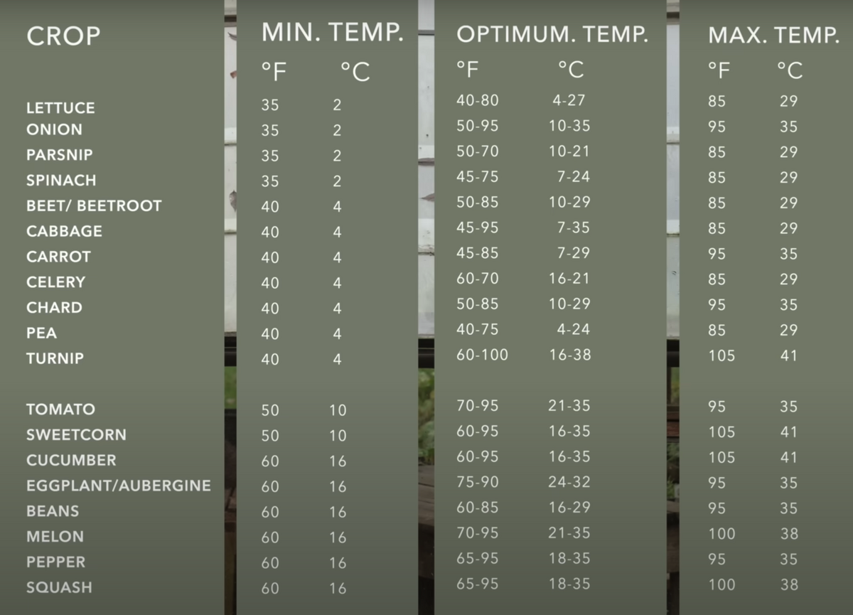 How Long Do Seeds Last Seed Viability Chart Homestead And Chill
