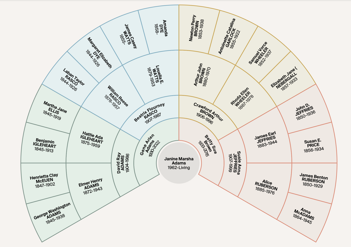 In Praise Of The Family Fan Chart Organize Your Family History In Praise Of The Family Fan Chart Organize Your Family History