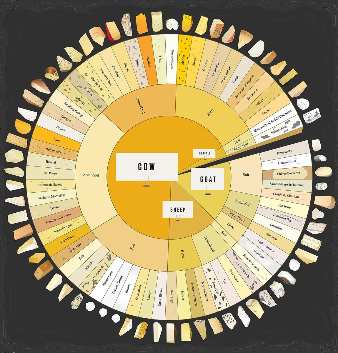 Infographic How To Tell The Difference Between 66 Varieties Of Cheese Fast Company Around The World In 50 Types Of Cheese How To Cook Recipes