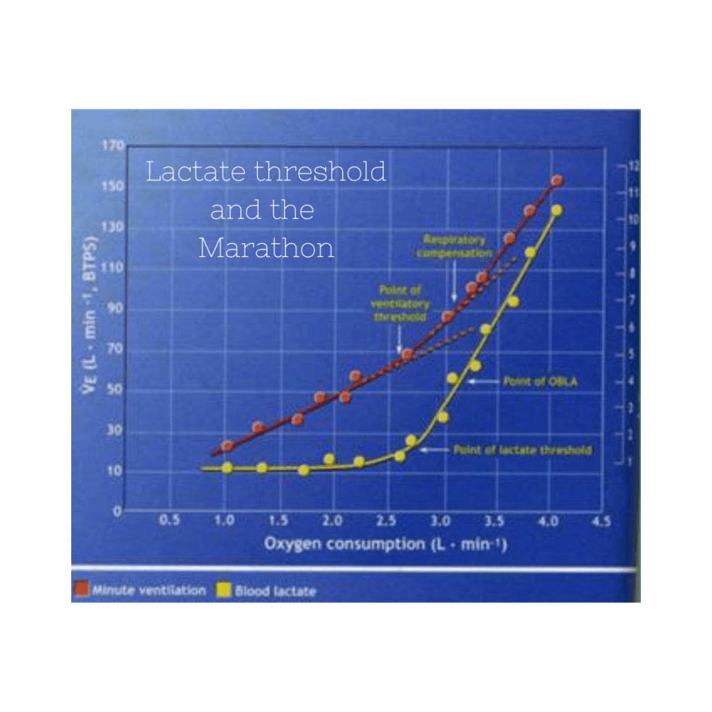 Lactate Threshold And The Marathon Luke Humphrey Running Lactate Threshold And The Marathon Luke Humphrey Running