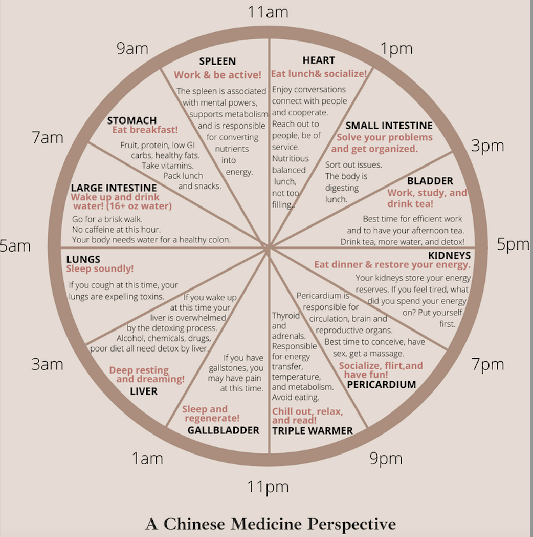 Listening To Our Body Clock Be Well Chiropractic Studio