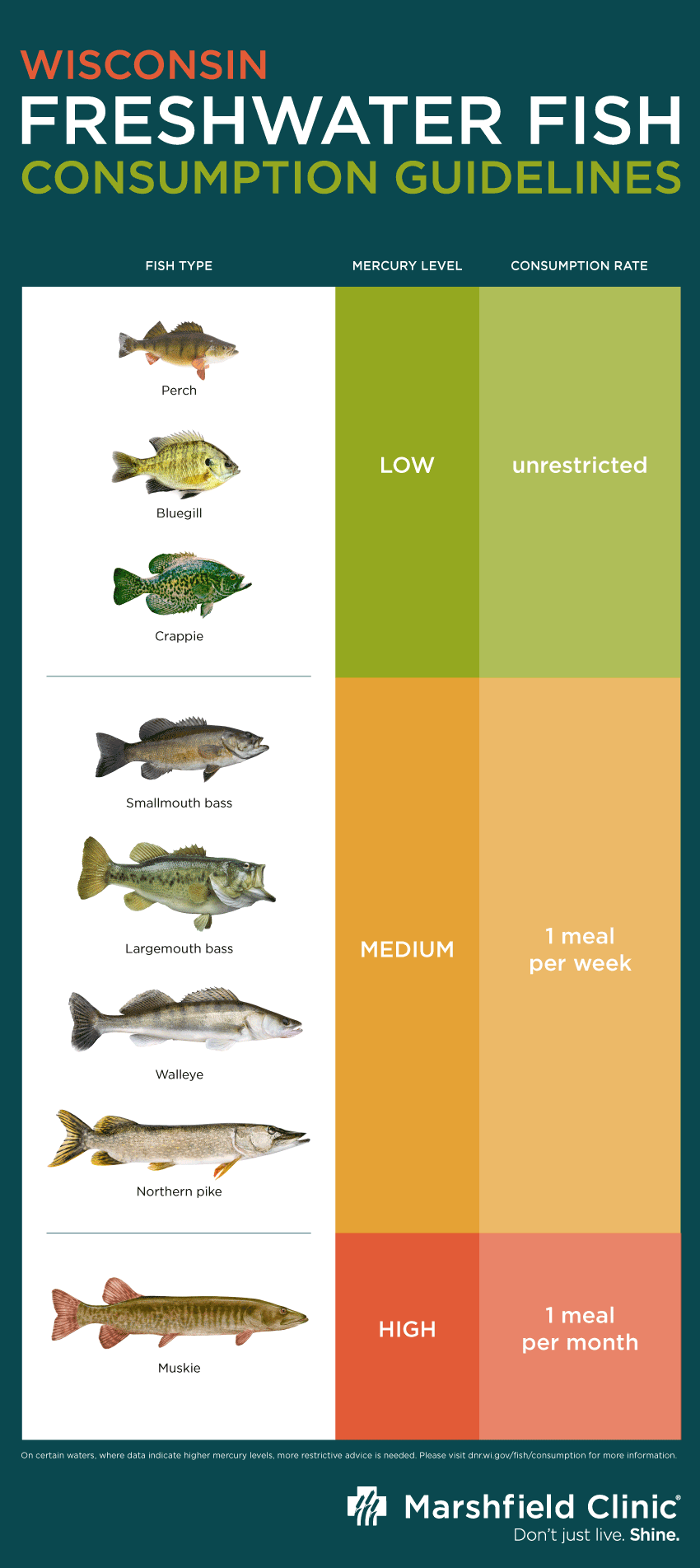 Mercury Levels In Freshwater Fish Mercury Levels In Freshwater Fish