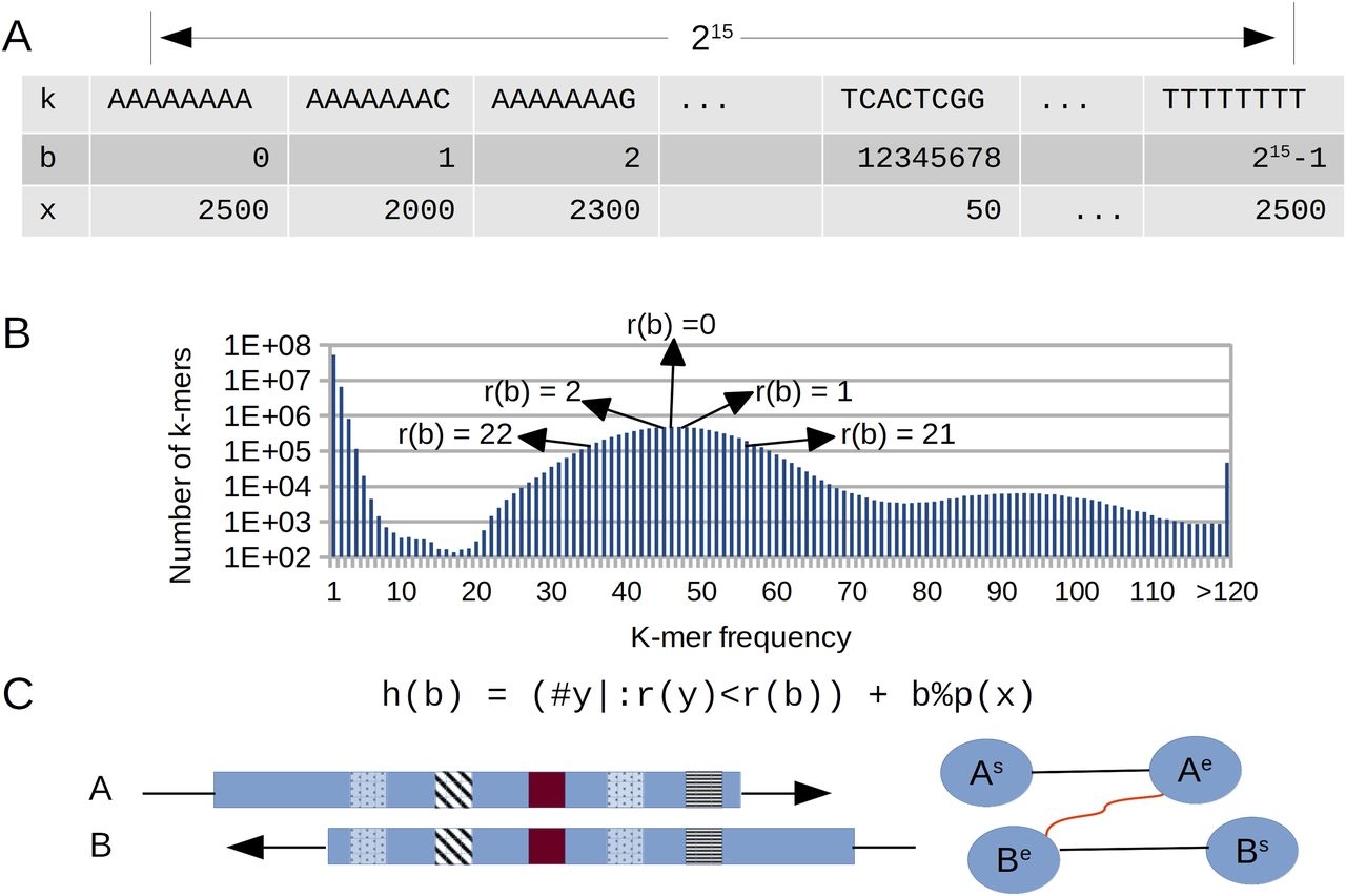 New Algorithms For Accurate And Efficient De Novo Genome Assembly From Long DNA Sequencing Reads Life Science Alliance New Algorithms For Accurate And Efficient De Novo Genome Assembly From Long DNA Sequencing Reads Life Science Alliance