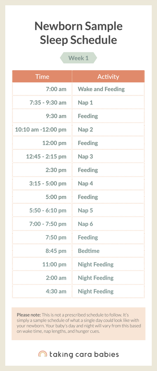 Newborn Sleep Schedule Taking Cara Babies Newborn Sleep Schedule Taking Cara Babies