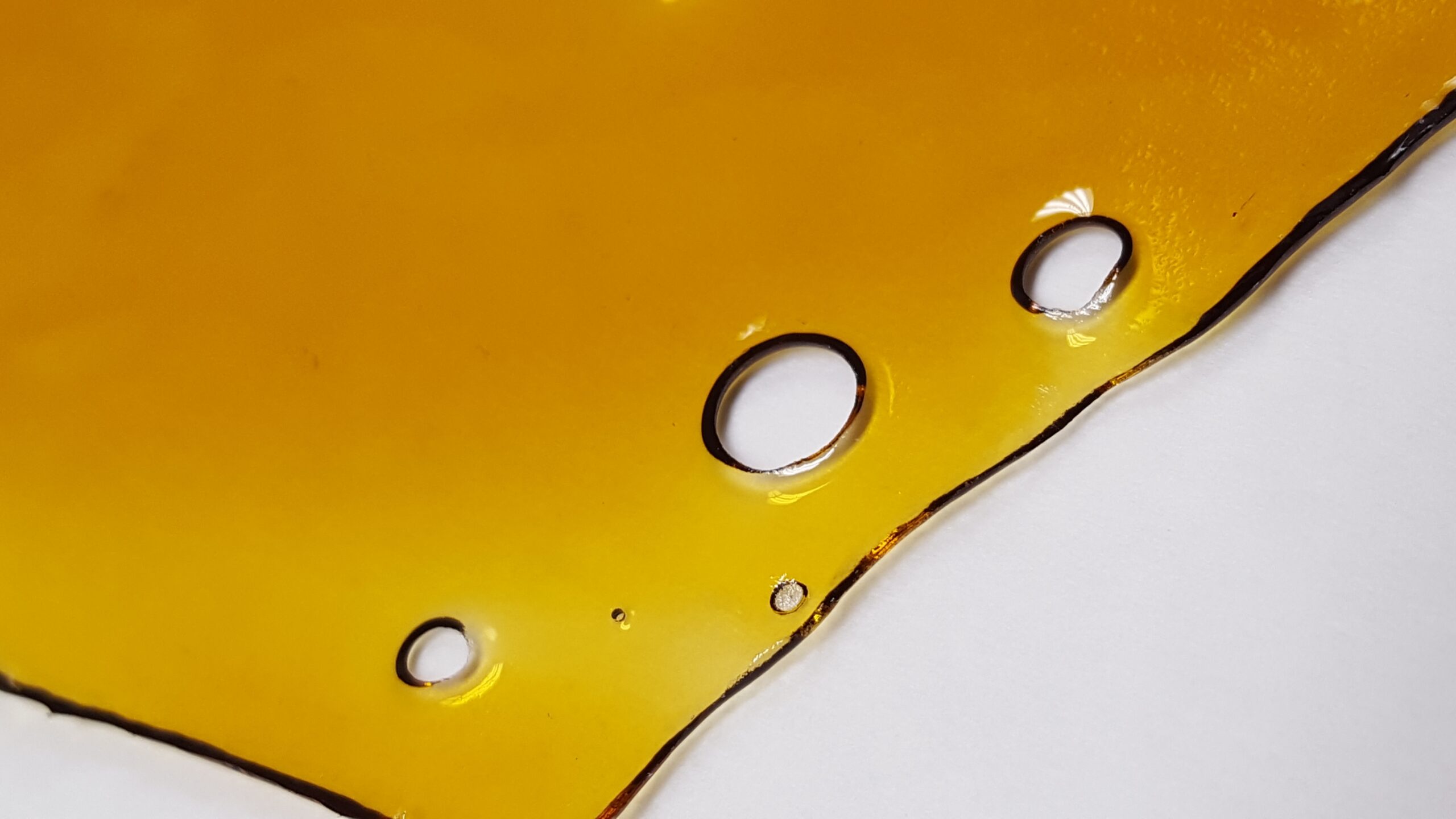 Oven Vac Temp And Time For Shatter Extraction Future4200 Oven Vac Temp And Time For Shatter Extraction Future4200