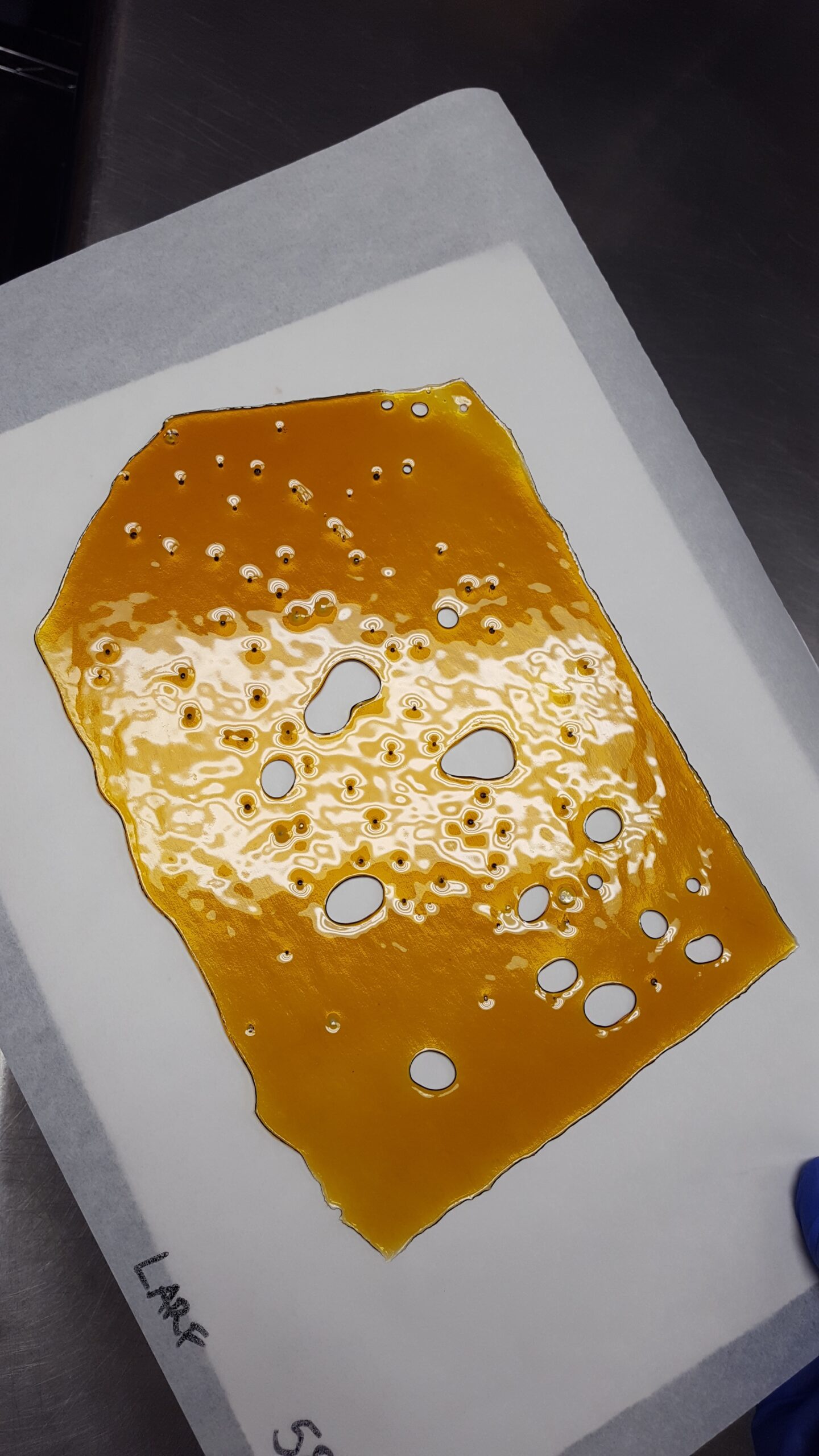 Oven Vac Temp And Time For Shatter Extraction Future4200