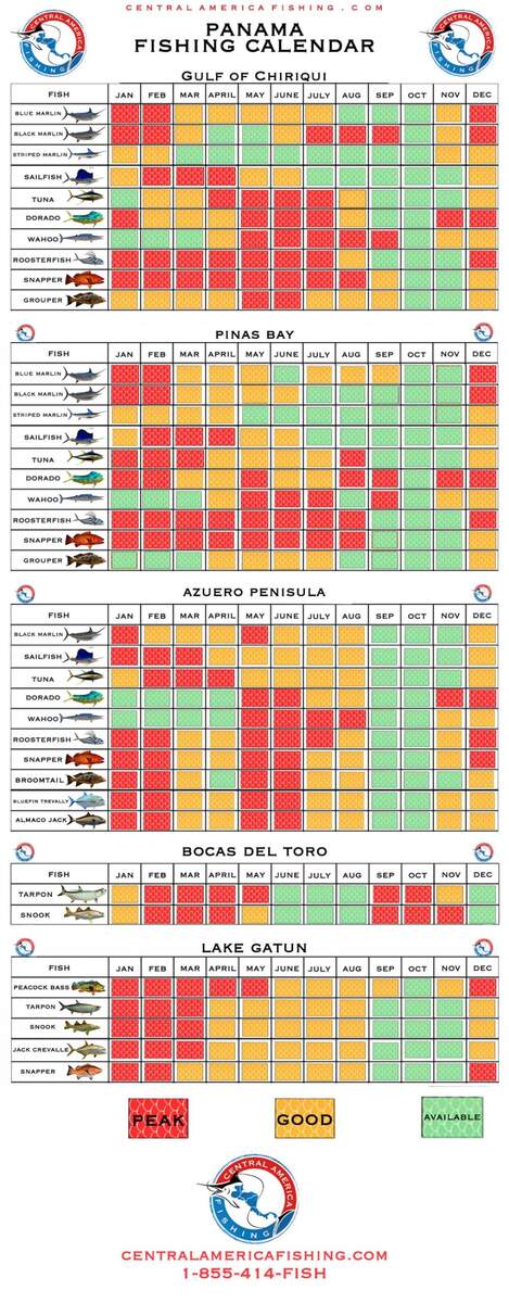 Panama Fishing Calendar When To Fish In Panama Central America Fishing