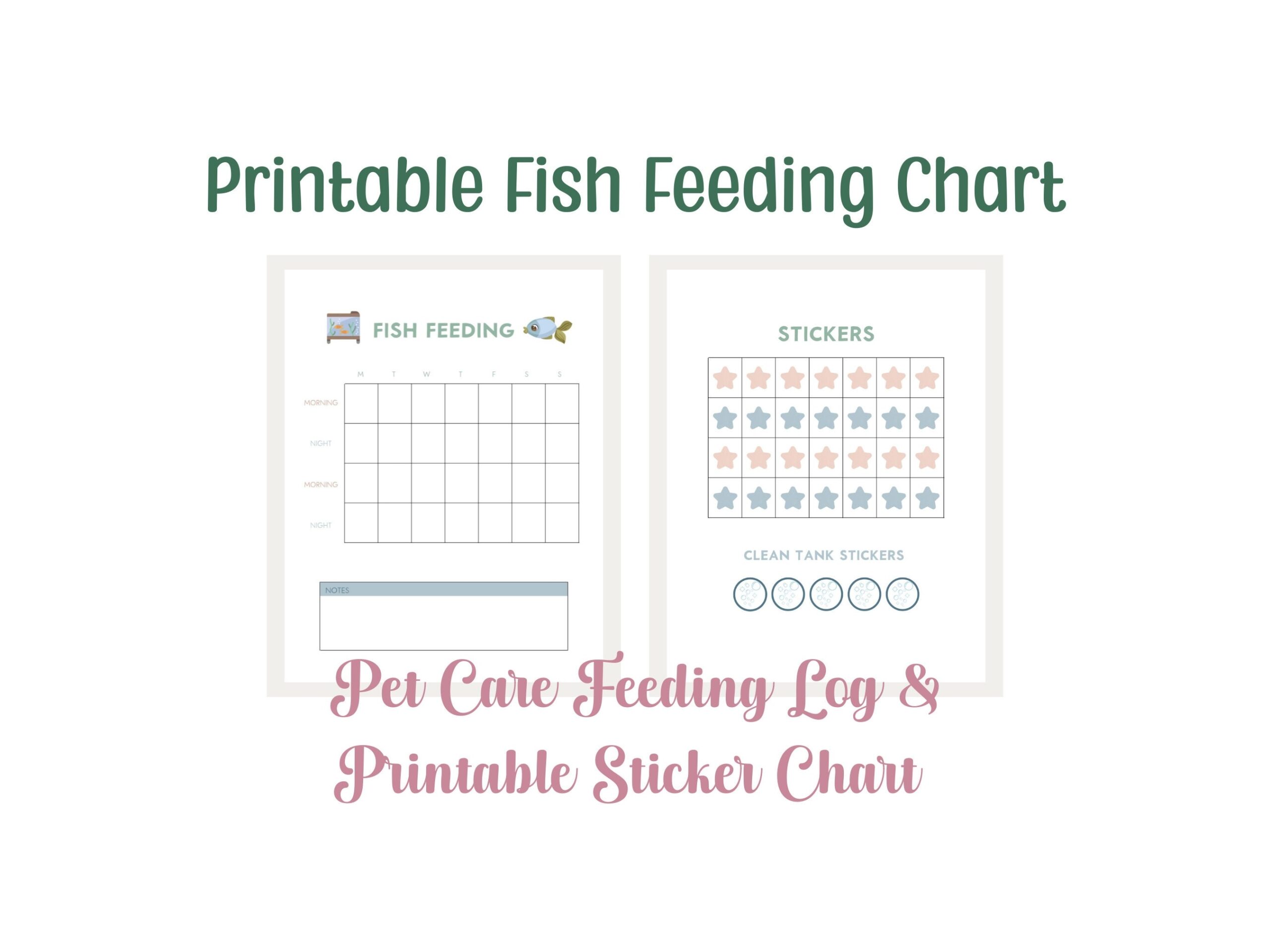 Feeding Schedule Betta Fish Feeding Amount Chart Betta Fish Maintenance Betta Fish Feeding Times On Sale