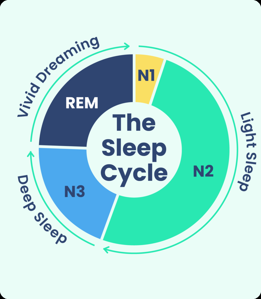 REM Sleep What It Is And Why It S Important REM Sleep What It Is And Why It S Important
