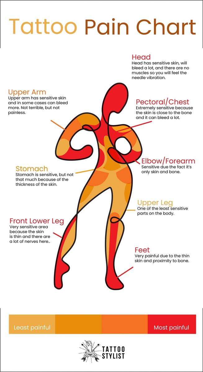 Scared Of Tattoo Pain Here Are The Facts You Need Tattoo Pain Chart Included Tattoo Stylist Tattoo Pain Chart Tattooing 101