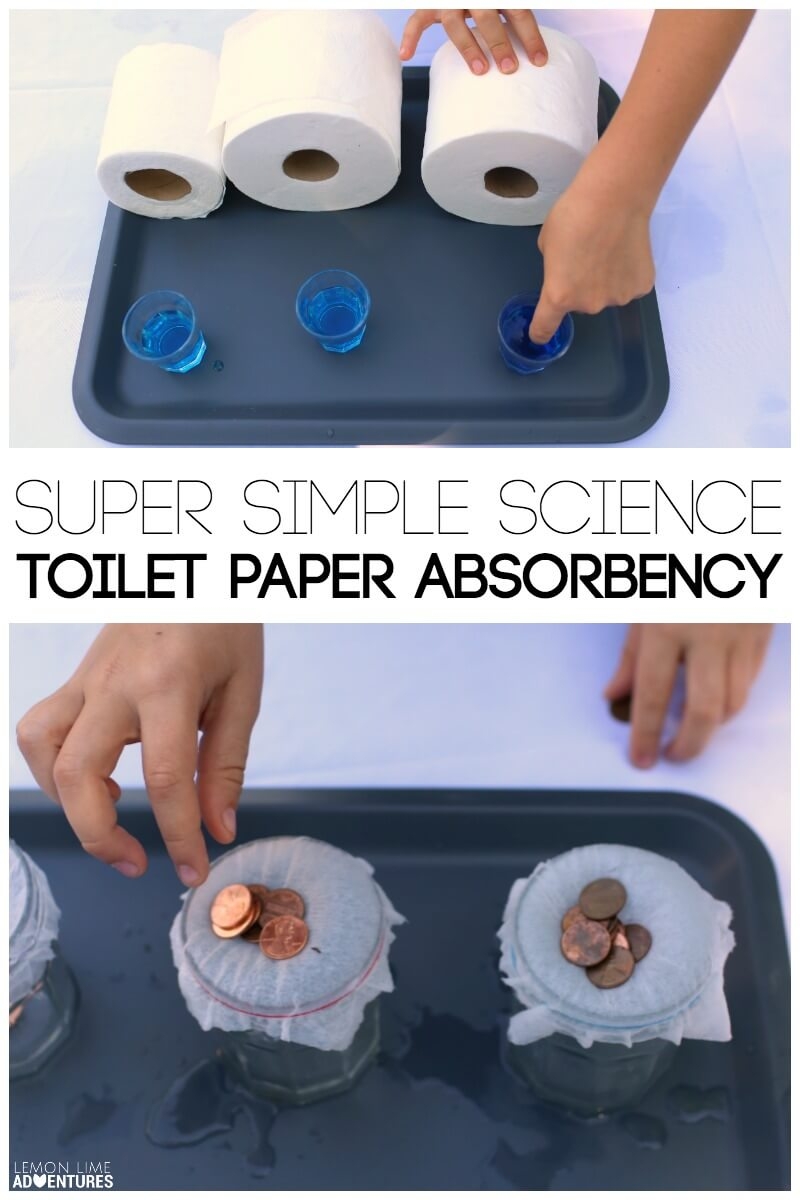 Simple Toilet Paper Absorbency Experiments For Kids