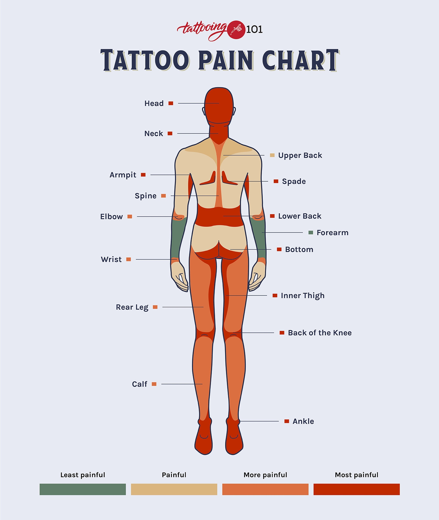 Tattoo Pain Chart Tattooing 101 Tattoo Pain Chart Tattooing 101