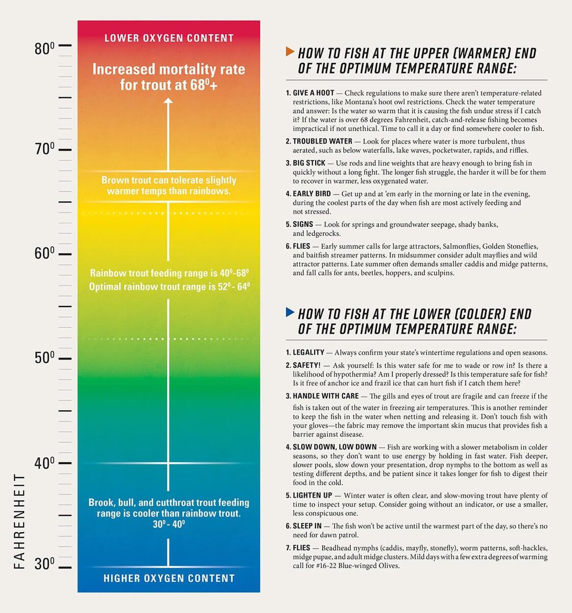 Temperature Dependent Trout Strategies Fly Fisherman