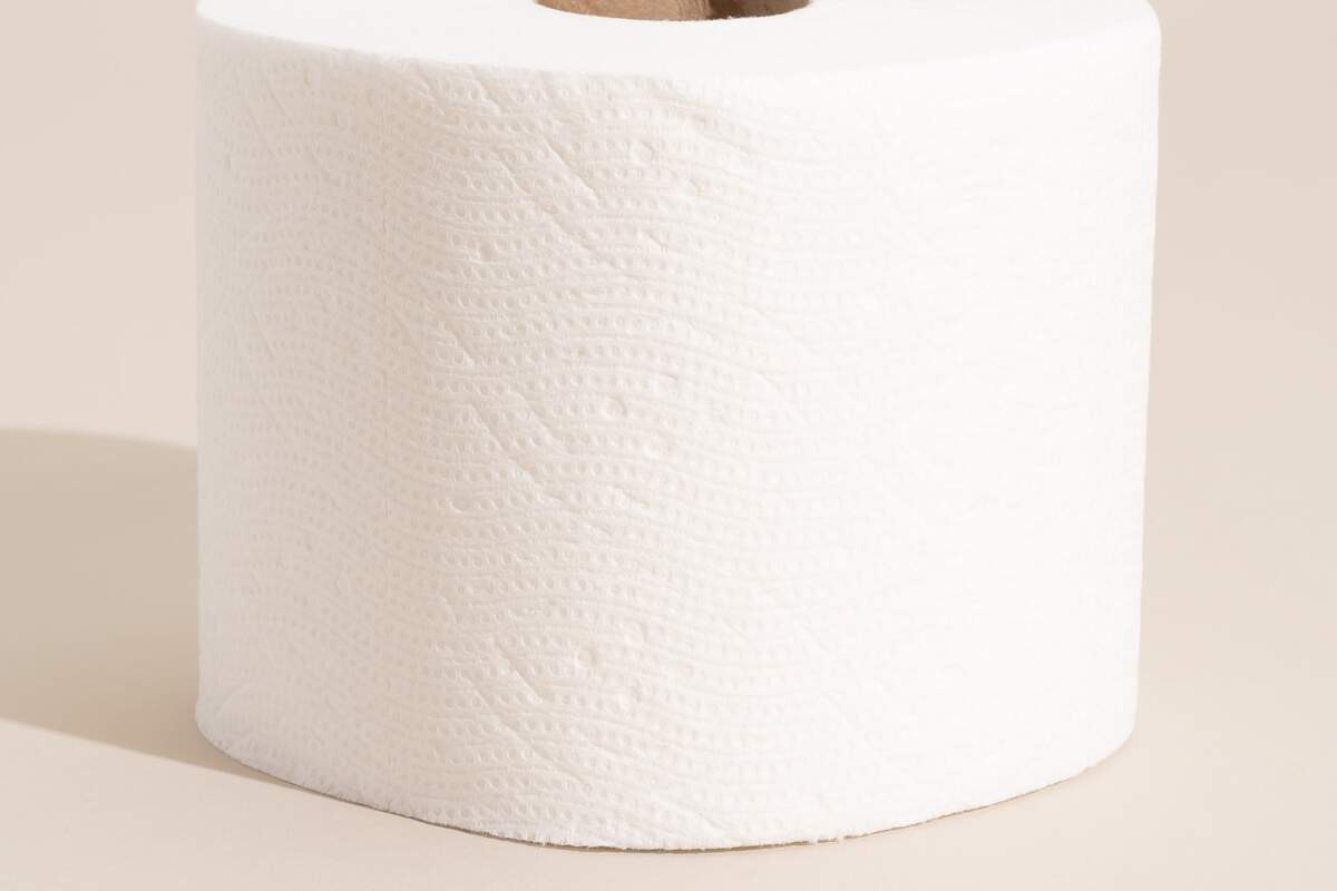Reel Vs Who Gives A Crap Review Best Eco Friendly Toilet Paper 2025 Tilted Map