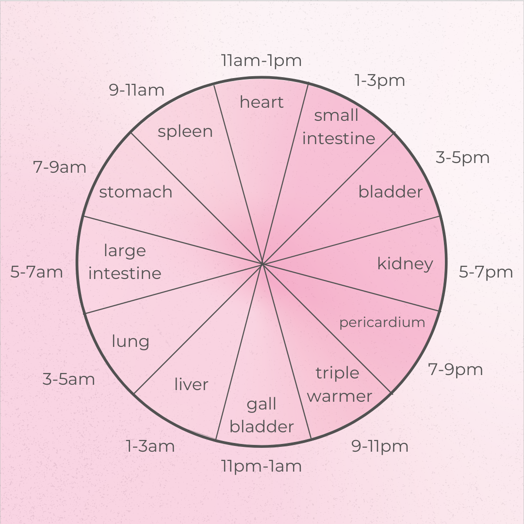 The Chinese Medicine Body Clock Why Timing Of Symptoms Matters The Chinese Medicine Body Clock Why Timing Of Symptoms Matters